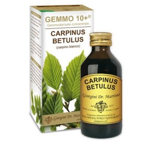 Dr. Giorgini Gemmo 10  Carpinus Betulus Integratore 100 ml Dr. Giorgini Gemmo 10  Carpinus Betulus Integratore 100 ml