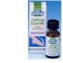 Timodore Callifugo Liquido Con Pennello Flacone 12 ml