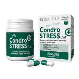 Innovet Condrostress  Cat Integratore Articolare Contro Osteoartrite Gatti 30 Capsule Innovet Condrostress  Cat Integratore Articolare Contro Osteoartrite Gatti 30 Capsule