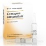 Guna Heel Coenzyme Compositum 10 Fiale