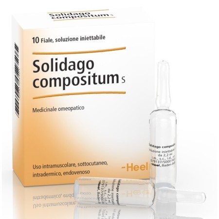 Guna-Heel Solidago Compositum S Medicinale Omeopatico 10 Fiale