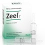 Heel Zeel T 10 Fiale Da 2,2 Ml