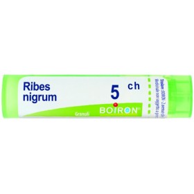 Boiron Ribes Nigrum 5CH Granuli Tubo Boiron Ribes Nigrum 5CH Granuli Tubo