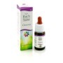 Guna Fiori di Bach Chicory 10 ml
