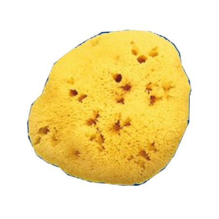 Farmacare Spugna Naturale 12-13 cm Fori Larghi n°9