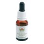 Bush Flower Essences Fiori Australiani Bottlebrush Gocce 15 ml
