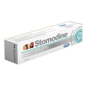 Icf Stomodine Gel Igiene Denti e Gengive Cani e Gatti Tubo 30 ml Icf Stomodine Gel Igiene Denti e Gengive Cani e Gatti Tubo 30 ml