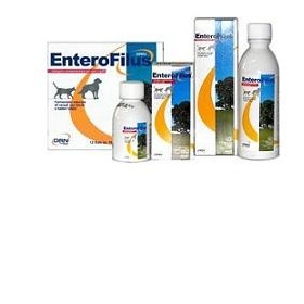 Drn Enterofilus Mangime Complementare Simbiotico Cani E Gatti 12 Fiale Drn Enterofilus Mangime Complementare Simbiotico Cani E Gatti 12 Fiale