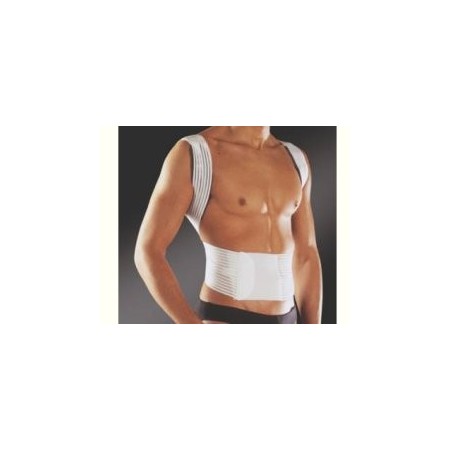 NEW EDGE 576 RADDRIZZASP S