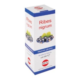 Kos Ribes Nigrum Macerato Glicerico Gocce 100 ml Kos Ribes Nigrum Macerato Glicerico Gocce 100 ml