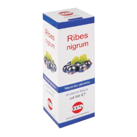 Kos Ribes Nigrum Macerato Glicerico Gocce 100 ml