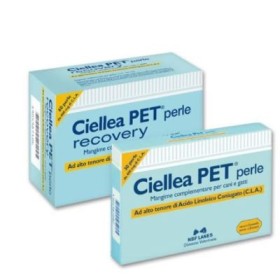 Nbf Lanes Ciellea Pet Integratore Metabolico 30 Perle Nbf Lanes Ciellea Pet Integratore Metabolico 30 Perle