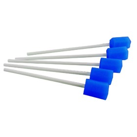 Bastoncini Per Pulizia cavo Orale 5 Pezzi Bastoncini Per Pulizia cavo Orale 5 Pezzi