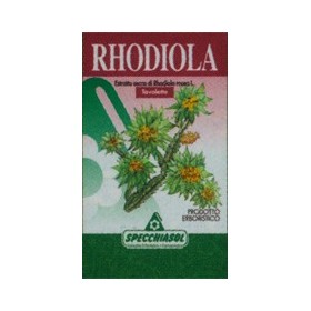 Specchiasol Rhodiola Integratore Adattogeno 60 Tavolette Specchiasol Rhodiola Integratore Adattogeno 60 Tavolette