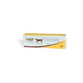 Zoetis VMP Pasta Integratore Multivitaminico Gatti Siringa 50 g Zoetis VMP Pasta Integratore Multivitaminico Gatti Siringa 50 g