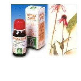 Specchiasol Echinacea 59 Tintura Madre 50 ml Specchiasol Echinacea 59 Tintura Madre 50 ml