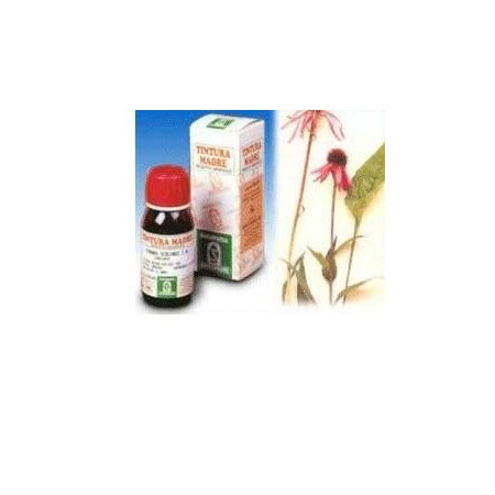 Specchiasol Echinacea 59 Tintura Madre 50 ml