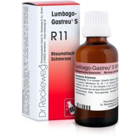 Dr. Reckeweg R11 Gocce Omeopatiche 22 ml Dr. Reckeweg R11 Gocce Omeopatiche 22 ml