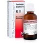Dr. Reckeweg R11 Gocce Omeopatiche 22 ml