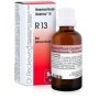 Dr. Reckeweg R13 Gocce Omeopatiche 22 ml