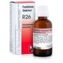 Dr. Reckeweg R26 Gocce Orali Omeopatiche 22 ml