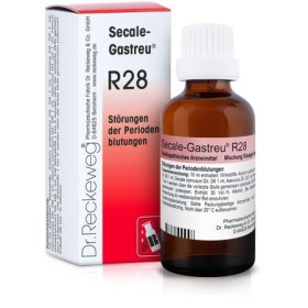 Dr. Reckeweg R28 Gocce Orali Omeopatiche 22 ml Dr. Reckeweg R28 Gocce Orali Omeopatiche 22 ml
