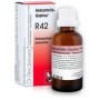 Dr. Reckeweg R42 Gocce Omeopatiche 22 ml