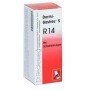 Dr. Reckeweg R14  Rimedio Omeopatico Gocce 50 Ml