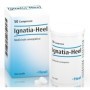 Guna Heel Ignatia Rimedio Omeopatico Contro Stress 50 Compresse