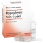 Guna Heel Hypophysis suis-injeel 10 Fiale da 1,1 ml