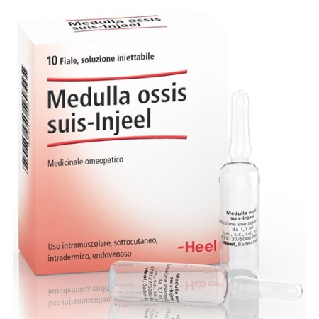Guna Medulla ossis suis-injeel 10 Fiale da 1,1 ml
