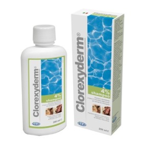 Icf Clorexyderm Shampoo 4% Disinfettante Cani E Gatti 250 Ml Icf Clorexyderm Shampoo 4% Disinfettante Cani E Gatti 250 Ml