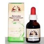 Erbenobili Aesculus Hippocastanum FitoBlasto 50 ml