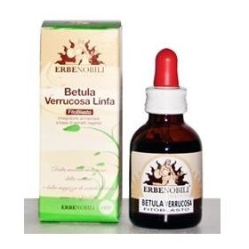 Erbenobili Fitoblasto Betula Verrucosa Linfa Drenante 50 ml Erbenobili Fitoblasto Betula Verrucosa Linfa Drenante 50 ml