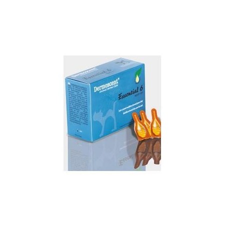 Dermoscent Spot On Trattamento Pelo Cute Gatto 4 Pipette