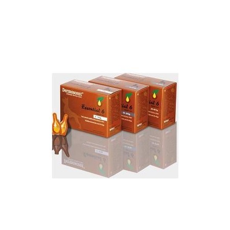 Dermoscent Essential 6 Spot-On Per L'igiene del Cane da 20 a 40 kg 4 Pipette