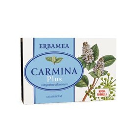 CARMINA PLUS 24CPR 19,2G CARMINA PLUS 24CPR 19,2G