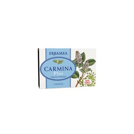 CARMINA PLUS 24CPR 19,2G