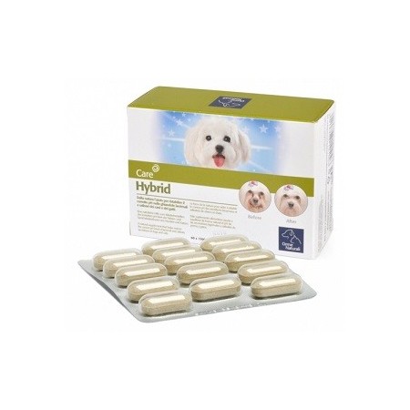 Hybrid Compresse Integratore Contro i Cattivi Odori Cani 60 Compresse