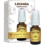 Dr. Giorgini Lavanda Quintessenza Spray Rilassante 15 ml