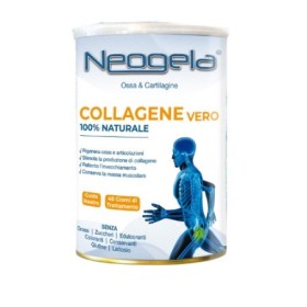 NEOGELA POLVERE 400G NEOGELA POLVERE 400G