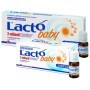 Lactò Baby 3 Miliardi Integratore Benessere Intestinale Bambini 12 Flaconcini