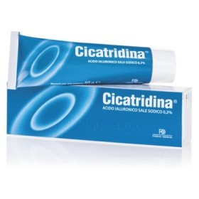 Cicatridina Pomata Irritazioni Arrossameni 60 g Cicatridina Pomata Irritazioni Arrossameni 60 g