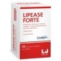 LIPEASE FORTE 20STICK PACK MON