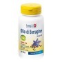 LongLife Olio Di Borragine Bio Integratore Pelle 50 Perle