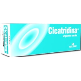 Cicatridina Unguento Nasale 15 g Cicatridina Unguento Nasale 15 g