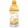 Termodren Evo Integratore Gusto Tè Al Limone 500 ml