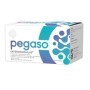 Pegaso Enterodophilus Integratore Fermenti Lattici 14 Stickpack
