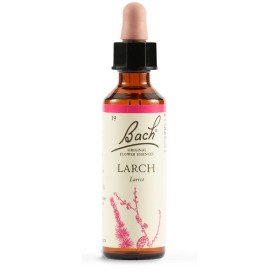 Schwabe Fiori di Bach Larch 19 Gocce 20 ml Schwabe Fiori di Bach Larch 19 Gocce 20 ml