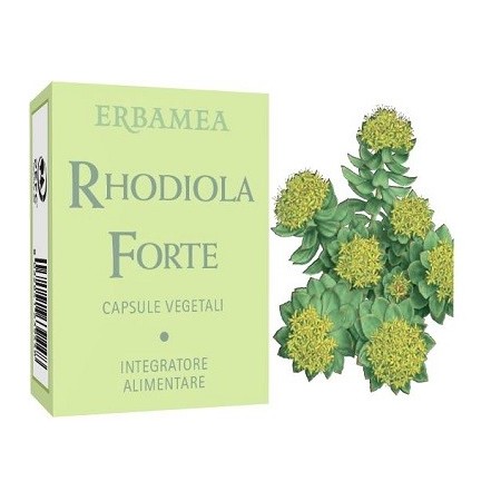 RHODIOLA FORTE 24CPS